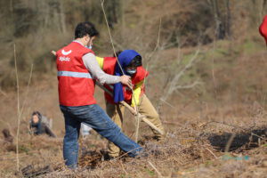 دیجی‌کالا با کاشت هزار و صد درخت به پروژه «بانی‌جنگل» پیوست
