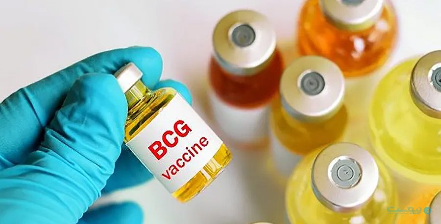 درباره تحقیقات BCG - پیوست