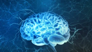 نورولوژی دلایل فرسایش شغلی بهترین کارمندان را توضیح می‌دهد؛ آب‌نباتی برای مغز