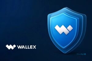 والکس شایعه هک را تکذیب کرد