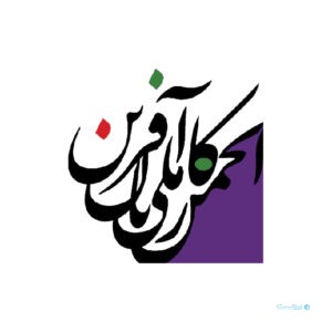 محدود سازی اینترنت و تبعیض دیجیتال مغایر با قانون اساسی است