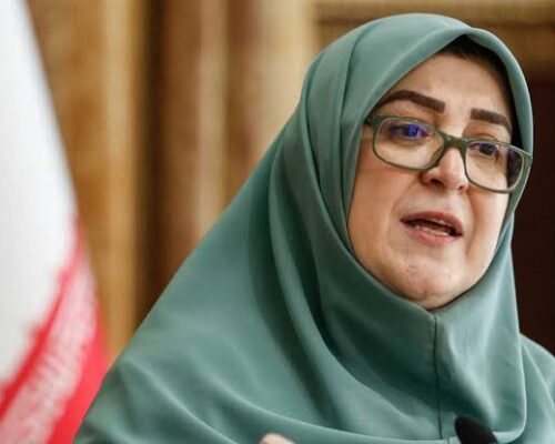 سخنگوی دولت اعلام کرد: هرگونه انسداد یا تعلیق سکوهای دیجیتال با دستور رئیس‌جمهور