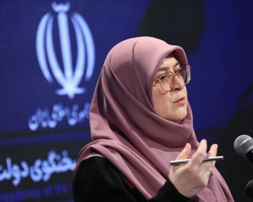سخنگوی دولت: کندی اینترنت به دلیل مقابله با حملات سایبری است
