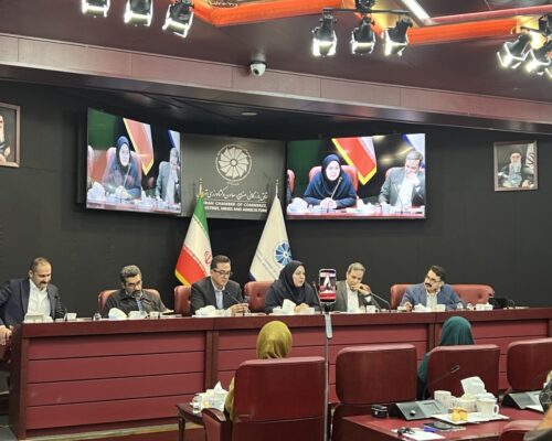 رئیس انجمن تجارت الکترونیک: دولت سرمایه‌گذاری ۲ میلیارد دلاری کند؛ رئیس کارگروه اقتصاد دیجیتال: پیشنهاد نقدشونده روی میز دولت قرار دهیم