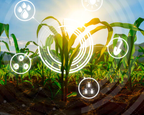 مدیرسرمایه‌گذاری صندوق تدبیر: استفاده فناوری در بلندمدت می‌تواند چرخه فرسایش منابع را متوقف کند