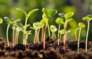 راهنمای تجربه‌های زندگی آفلاین در شرایط بحران و جنگ