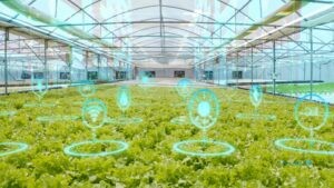 مزرعه‌داری هوشمند، با دنیای کشاورزی دیجیتالی آشنا شوید