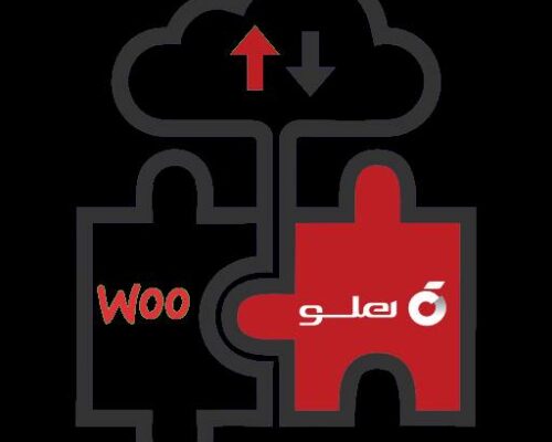 زیرساخت ابری به افزایش سرعت و امنیت افزونه‌ها کمک می‌کند