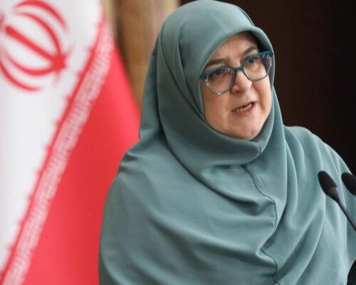 سخنگوی دولت: لایحه «مقابله با نشر محتوای خلاف واقع در فضای مجازی» درحال بررسی است