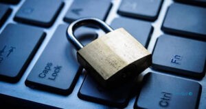 قطعی اینترنت، کاهش ۲۰ تا ۵۰ درصدی درآمد شرکت‌های حوزه فناوری را به دنبال دارد