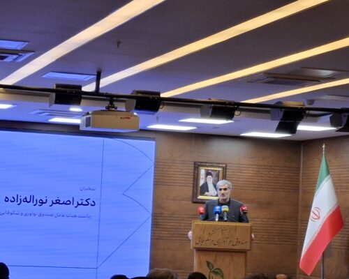 رئیس صندوق نوآوری خبر داد: ۹۰ درصد تسهیلات در اختیار ۵ درصد شرکت‌ها